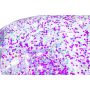 Naslonjač na napuhavanje Glitter Dream™ | 114 x 112 x 66 cm